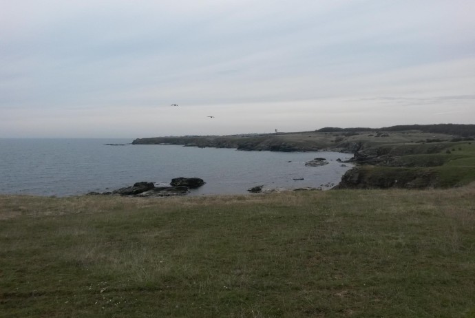 20150405_110809