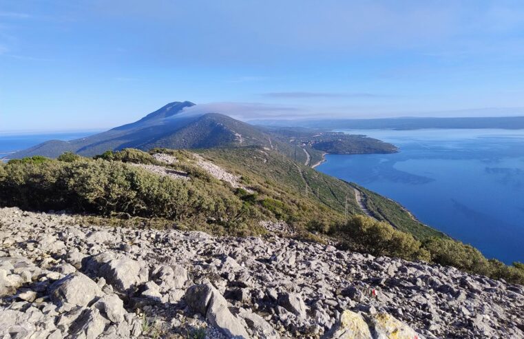 Televrina Osorščica